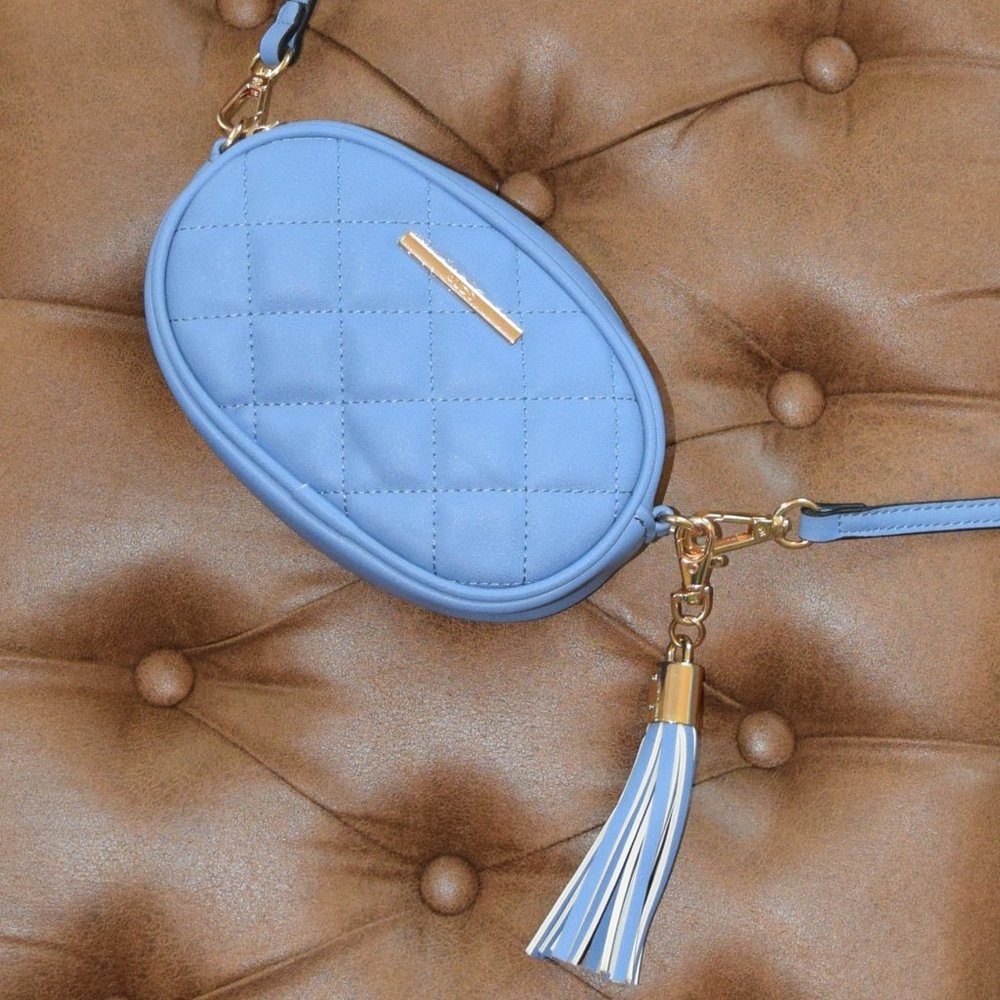 Aldo Pounce Belt Bag in Light Blue